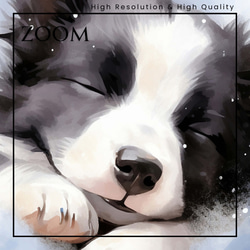 【夢心地 - ボーダーコリー犬の子犬 No.3】風水画 アートポスター 犬の絵 犬の絵画 犬のイラスト 3枚目の画像