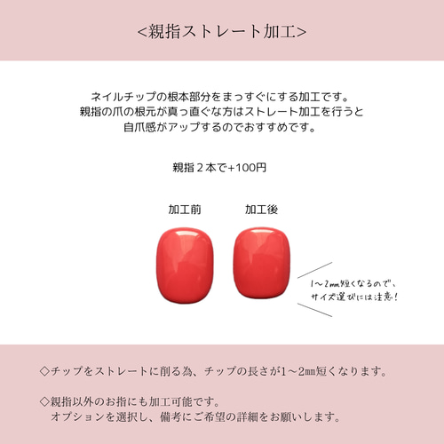 サイズ確認用チップ ネイルチップ（つけ爪） Ravir moment 通販