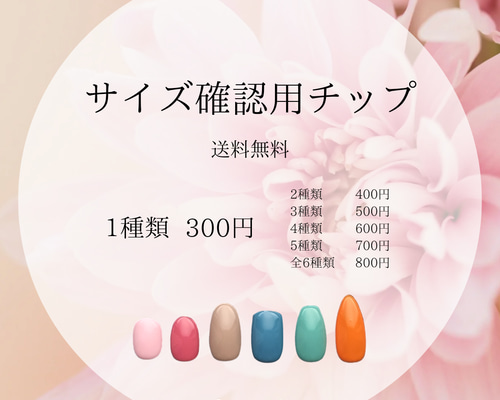 無料】サイズ確認用ネイルチップ - ネイルチップ専門店ミチネイル