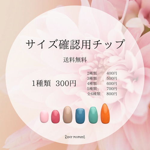 サイズ確認用チップ ネイルチップ（つけ爪） Ravir moment 通販
