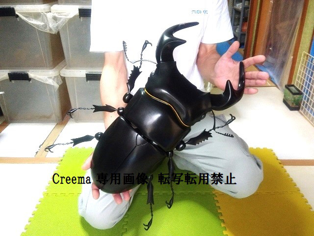 オオモンハタ　フィギュア　魚寸30cm 【第10回日本彫刻コンクール入選作品】 Amazon | 【昆虫フィギュア セット】ザ・アクセス 立体甲虫図鑑