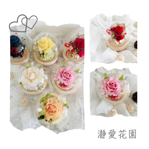 瀞愛天然-清新雅緻永生玫瑰玻璃花球（限時優惠）含禮盒卡片 第1張的照片