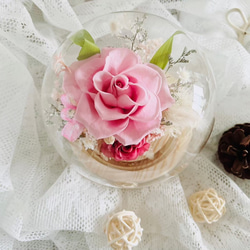 瀞愛天然-清新雅緻永生玫瑰玻璃花球（限時優惠）含禮盒卡片 第4張的照片