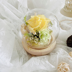瀞愛天然-清新雅緻永生玫瑰玻璃花球（限時優惠）含禮盒卡片 第13張的照片