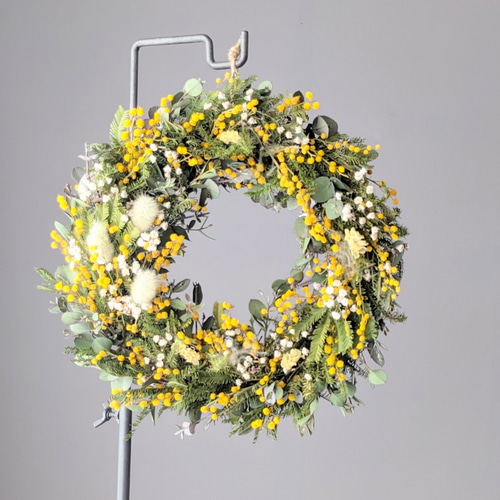 イタリアから春届きました 2026年産丸いミモザのドライフラワーリース