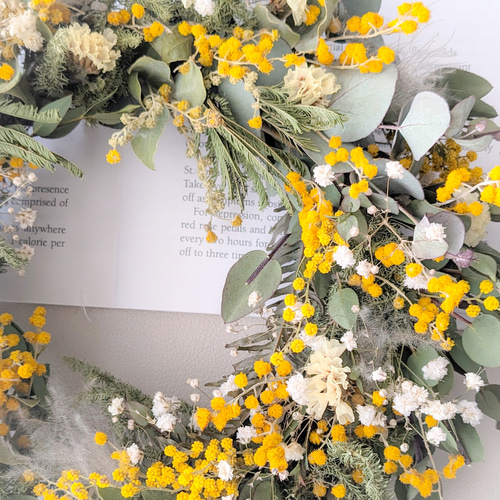 イタリアから春届きました 2026年産丸いミモザのドライフラワーリース