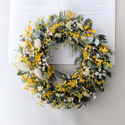 イタリアから春届きました 2026年産丸いミモザのドライフラワーリース