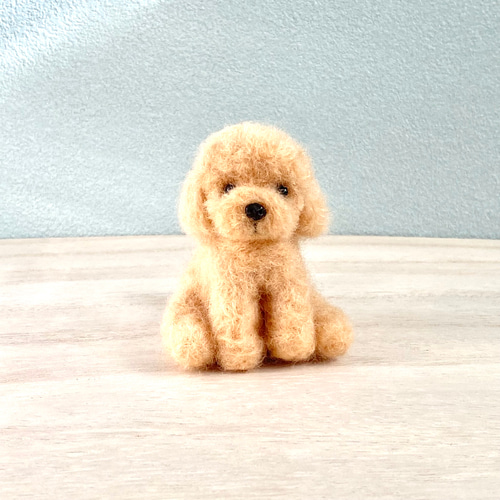 犬ぽんぽん☺︎マルプー トイプードル☺︎マスコット 羊毛