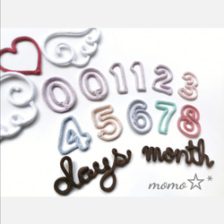 オーダー確認用ページ☆　マンスリーフォト　ウールレター　momo☆* ウールレター マンスリーフォト 数字二本線ﾃﾞｻﾞｲﾝ 作品例 momo☆* 雑貨