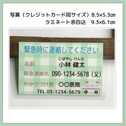 ヘルプカード　オリジナルヘルプカード　ヘルプマークの補助　緊急連絡カード　乗り物シリーズ 3枚目の画像