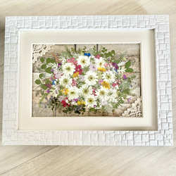 【新品・未使用】押し花　ドライフラワー　アート　額縁付き マトカリとレースフラワーの押し花アート＊ホワイトフレーム