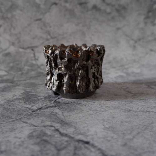 2号燻し金彩鉢62 塊根植物 多肉植物 コーデックス 盆栽 植木鉢