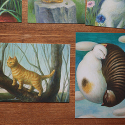 猫ポストカード５枚セット no.1 3枚目の画像