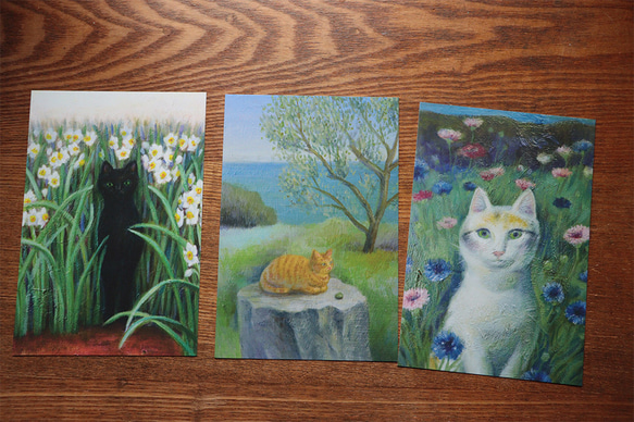 猫ポストカード５枚セット no.1 2枚目の画像