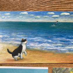 猫ポストカード５枚セット no.2 6枚目の画像