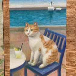 猫ポストカード５枚セット no.2 2枚目の画像