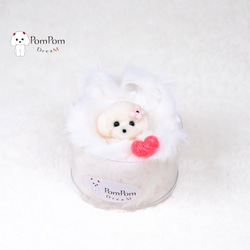 受注制作】トイプードル Sサイズ テディーベアカット ブラック 黒