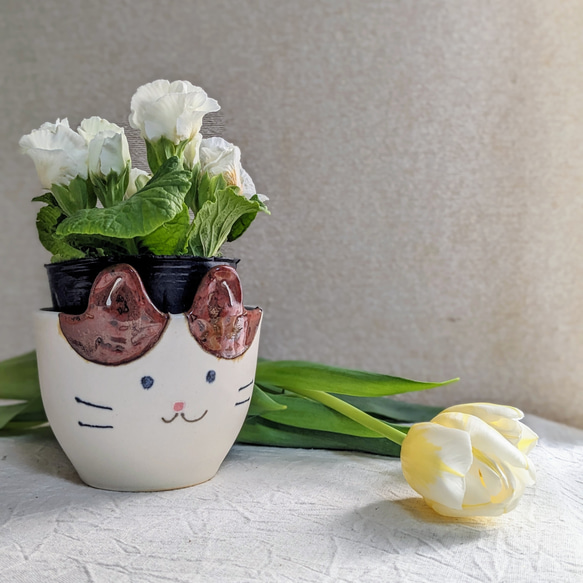 アニマル植木鉢(猫d) 1枚目の画像