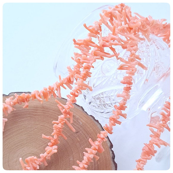 天然色！本珊瑚　枝スティック（チップ） 1枚目の画像