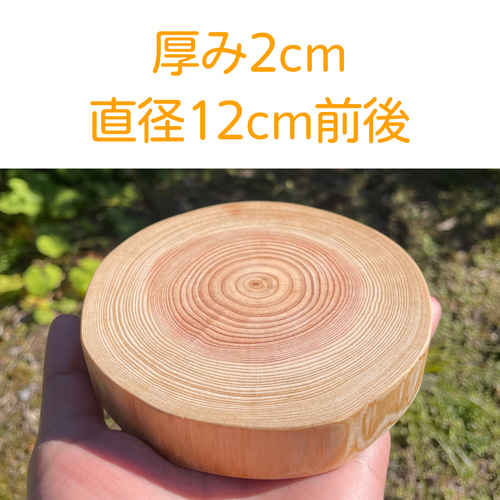 天然ヒバ　切り株　輪切り　高さ約14.5cm ひのき輪切りのお皿 直径12cm前後 厚み2cm 木材・板 切り株べあり