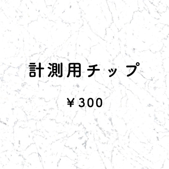 サイズ計測用チップ 1枚目の画像