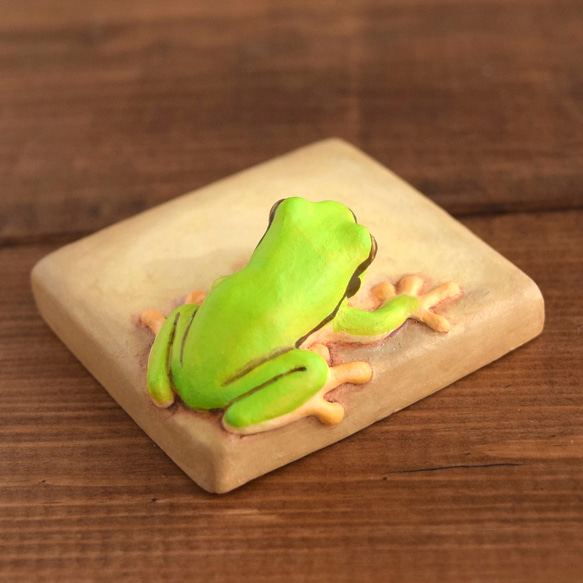 牆上有一隻日本樹蛙 第8張的照片