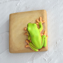 牆上有一隻日本樹蛙 第2張的照片