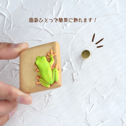 牆上有一隻日本樹蛙 第3張的照片