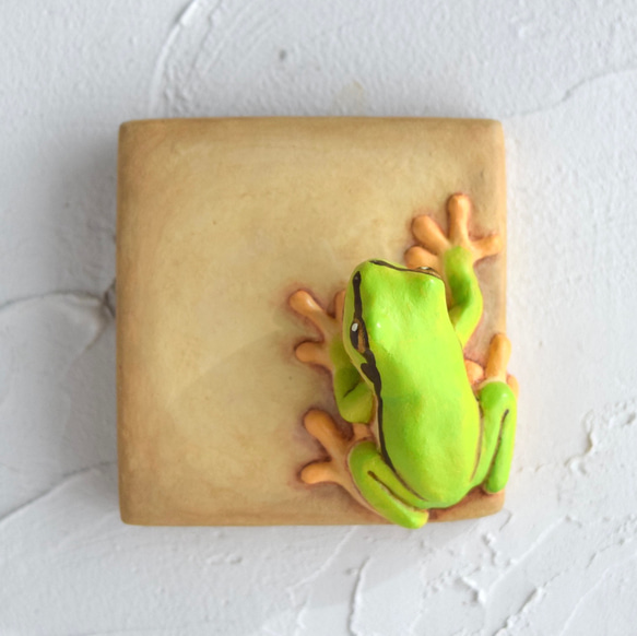 牆上有一隻日本樹蛙 第1張的照片