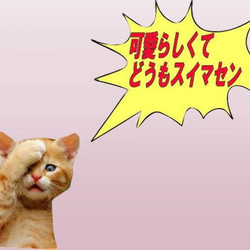【送料無料】不機嫌ニャンコ 猫柄バッグトートバッグ 小さめ 猫グッズ 猫雑貨 好き おもしろ プレゼント かわいい 人気 8枚目の画像