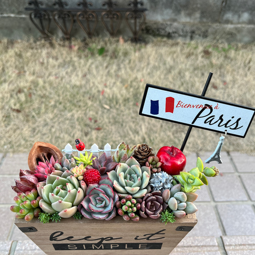 ★多肉植物　寄せ植え〜手作り木製カート寄せ〜★ 0_258fd1df0f4d4954bec8d9402ce0