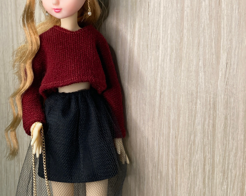 リカちゃん ハンドメイド服トップスとスカート リカちゃん服 4点セット トップス・スカート・バッグ・ピアス