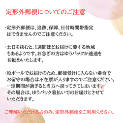 【コサージュ】桜とラナンキュラスとバラのコサージュ 8枚目の画像