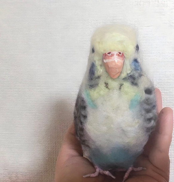 受注制作☆羊毛フェルトのスグロシロハラインコ 14枚目の画像