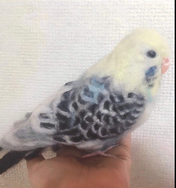 受注制作☆羊毛フェルトのスグロシロハラインコ 18枚目の画像