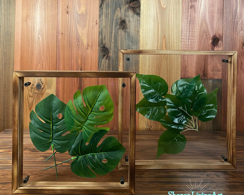 1fb87e8ae570d23d23f97679d46a61