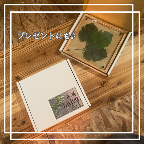 風景写真　オリジナルアート　アートフレーム　インテリアギフト 風景写真 オリジナルアート アートフレーム インテリアギフト 2枚