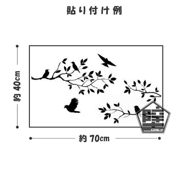  第4張的照片