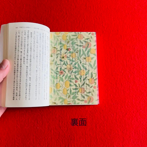 透明栞 ウィリアムモリス【フルーツ】レモン プチギフトに しおり