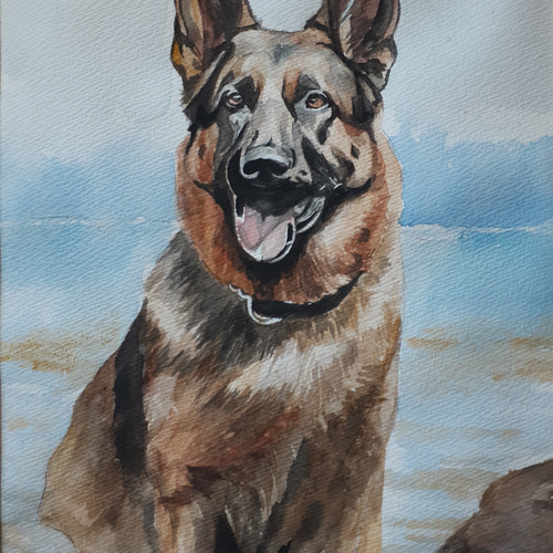 水彩画 ジャーマンシェパード 絵画 makochin 通販 17133366