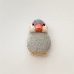 再販！羊毛フェルトのブローチ　さくら文鳥の伊織ちゃん 1枚目の画像