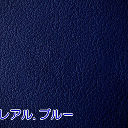 フランス産 山羊革 ” ジュリアン社 ” シェーブル【 ５３ds～５７ds 】 4枚目の画像