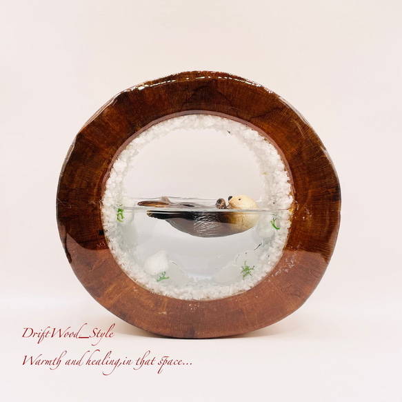 一つ限りの流木アート 海に浮かぶラッコ ジオラマ 流木 フィギュア 置物 インテリア レジン テラリウム 生き物 N16 1枚目の画像