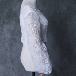 フェミニンなフレームレースの袖トップス  花柄のモチーフ刺繍が美しく  ロングスリーブ Vネック くるみボタン 背中見せ 2枚目の画像