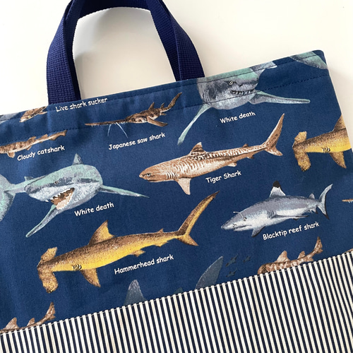 サメ図鑑3色☆3点セット カッコイイ 入園入学 上靴入れ お着替え袋