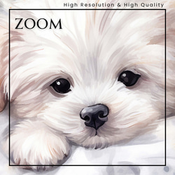 【夢心地 - マルチーズ犬の子犬 No.2】風水画 アートポスター 犬の絵 犬の絵画 犬のイラスト 3枚目の画像
