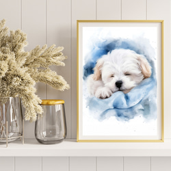 【夢心地 - マルチーズ犬の子犬 No.4】風水画 アートポスター 犬の絵 犬の絵画 犬のイラスト 8枚目の画像