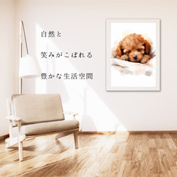 【夢心地 - トイプードル犬の子犬 No.1】風水画 アートポスター 犬の絵 犬の絵画 犬のイラスト 6枚目の画像