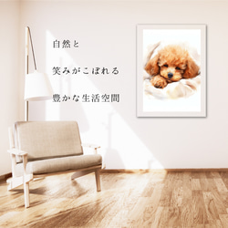 【夢心地 - トイプードル犬の子犬 No.3】風水画 アートポスター 犬の絵 犬の絵画 犬のイラスト 6枚目の画像