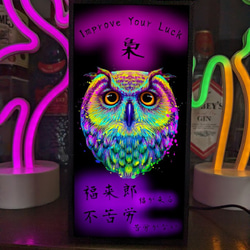 8455b5cd35772769cf7f67d4c74565